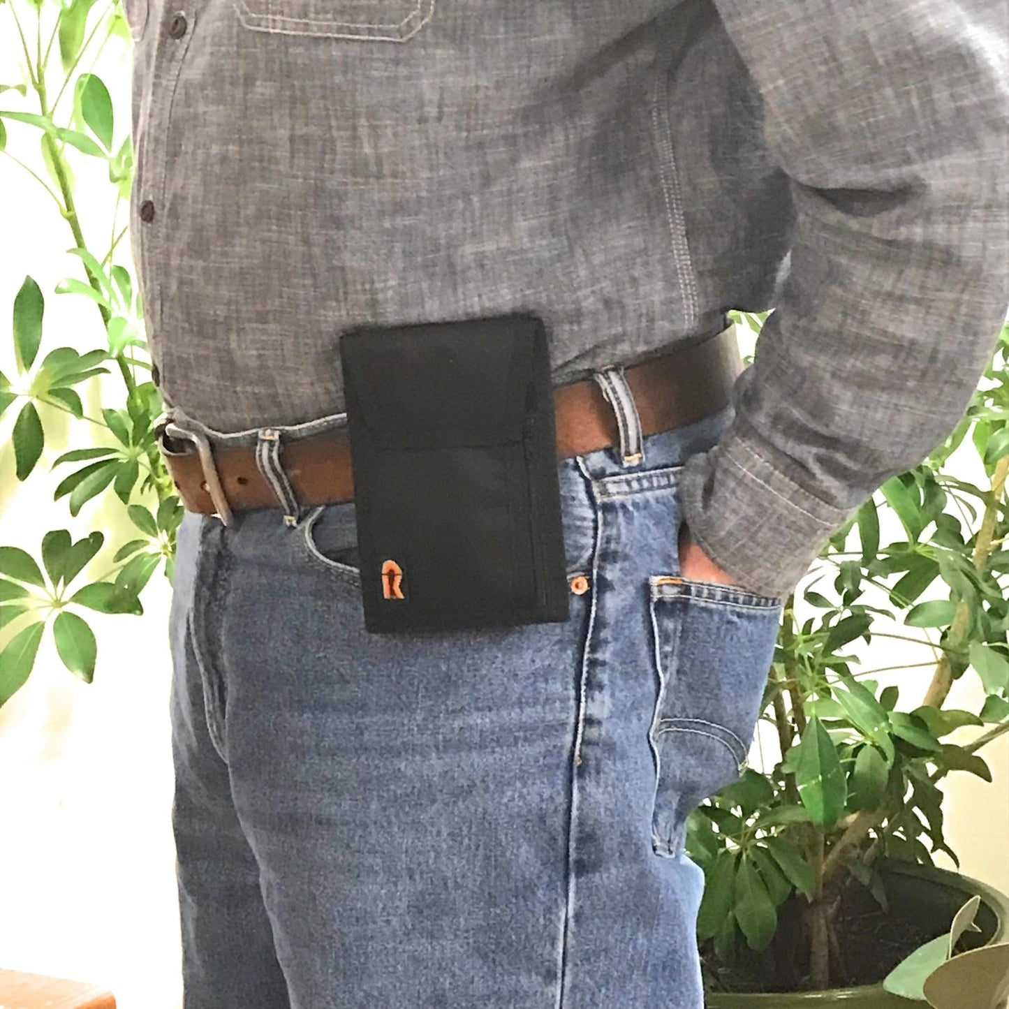 Multi-Purpose / Compass Case - 29PL image 2